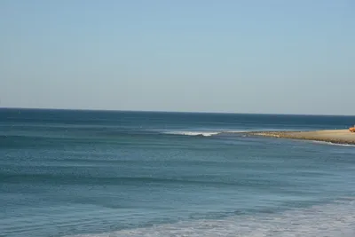 DSC_1443 (Large).JPG